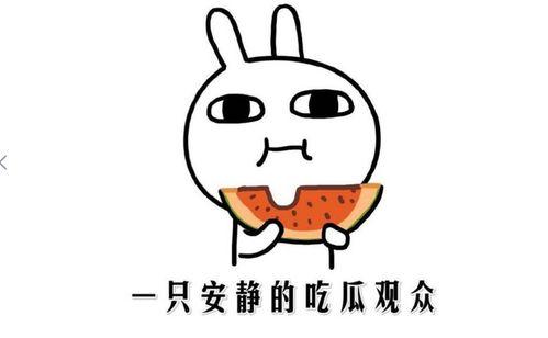 吃瓜群众 啥意思,网络时代的围观者与传播者