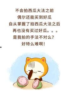 当个吃瓜群众就好,轻松解读娱乐圈风云变幻